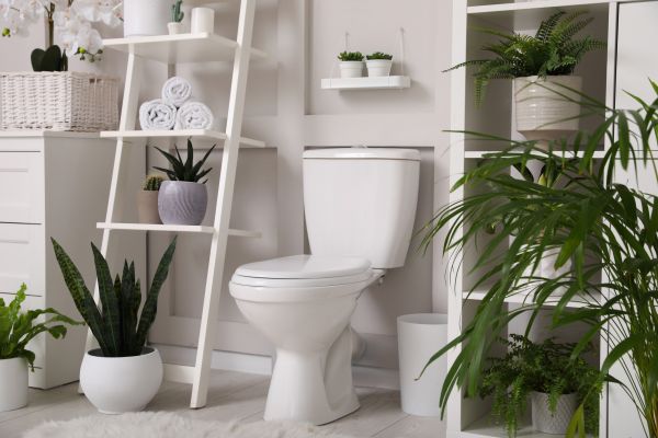 Cost of Toilet Repair in Ogden