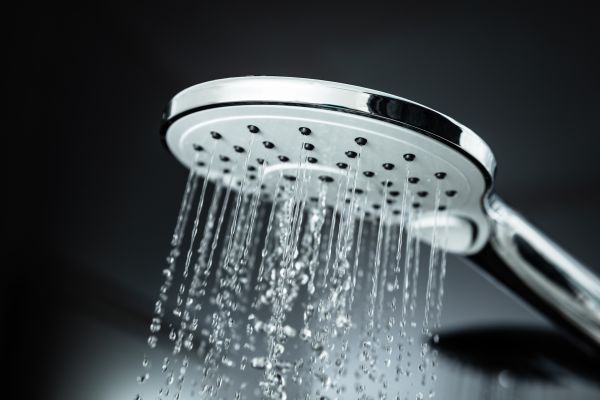 Cost of Shower Head Replacement in Ogden