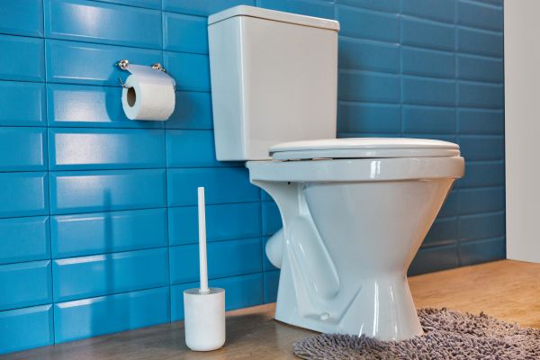 Cost of Toilet Tank Repair in Ogden