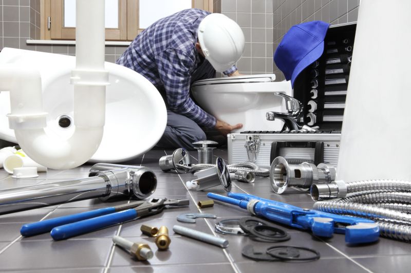 Backed Up Toilet Repair