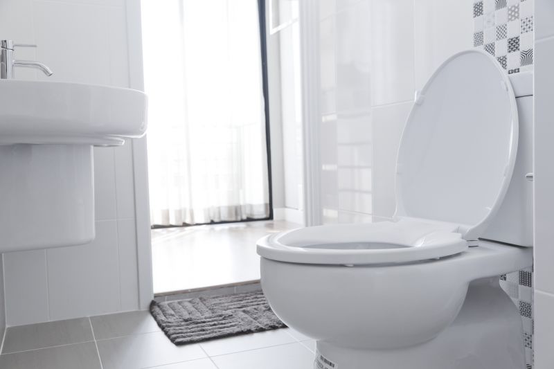 New Toilet Installation