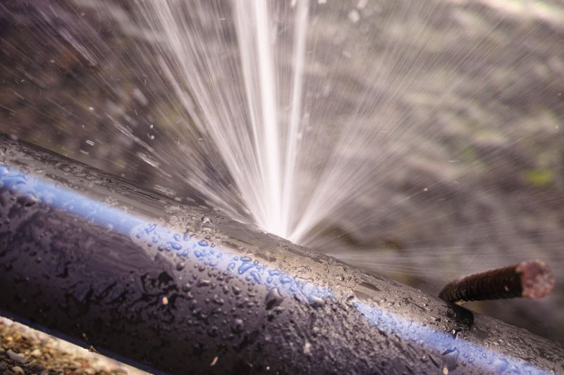 Plumbing Leak Repair