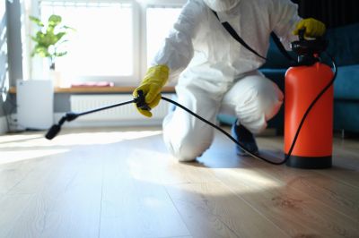Insect Control Service