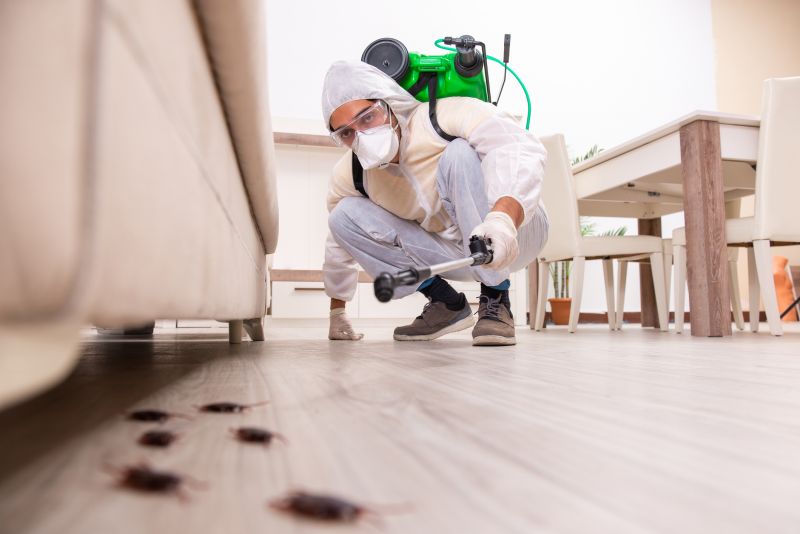 Insect Extermination Service