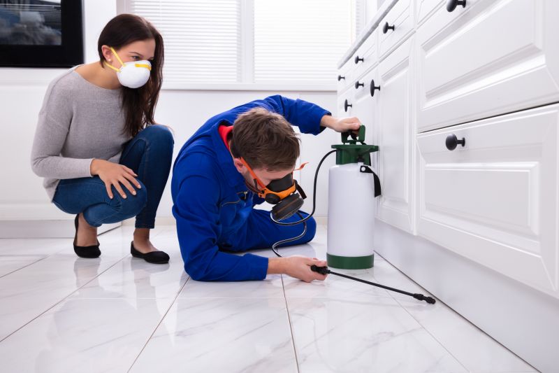 Spider Extermination Service