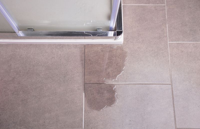 Shower Leak Repair